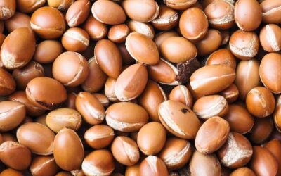 Aceite de argán y sostenibilidad: belleza que también cuida el planeta